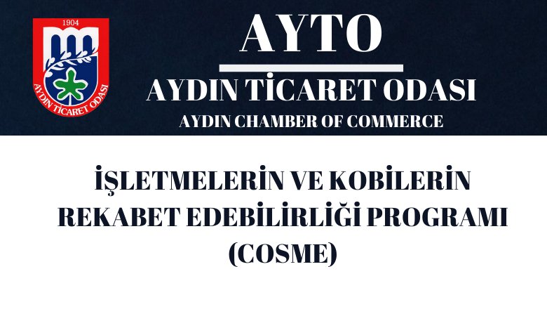 İŞLETMELERİN VE KOBİLERİN REKABET EDEBİLİRLİĞİ PROGRAMI (COSME)