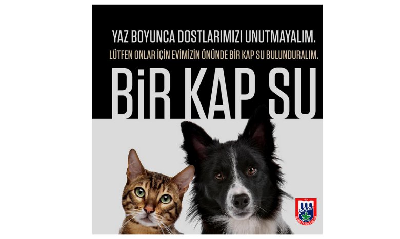 #birkapsudolumutluluk