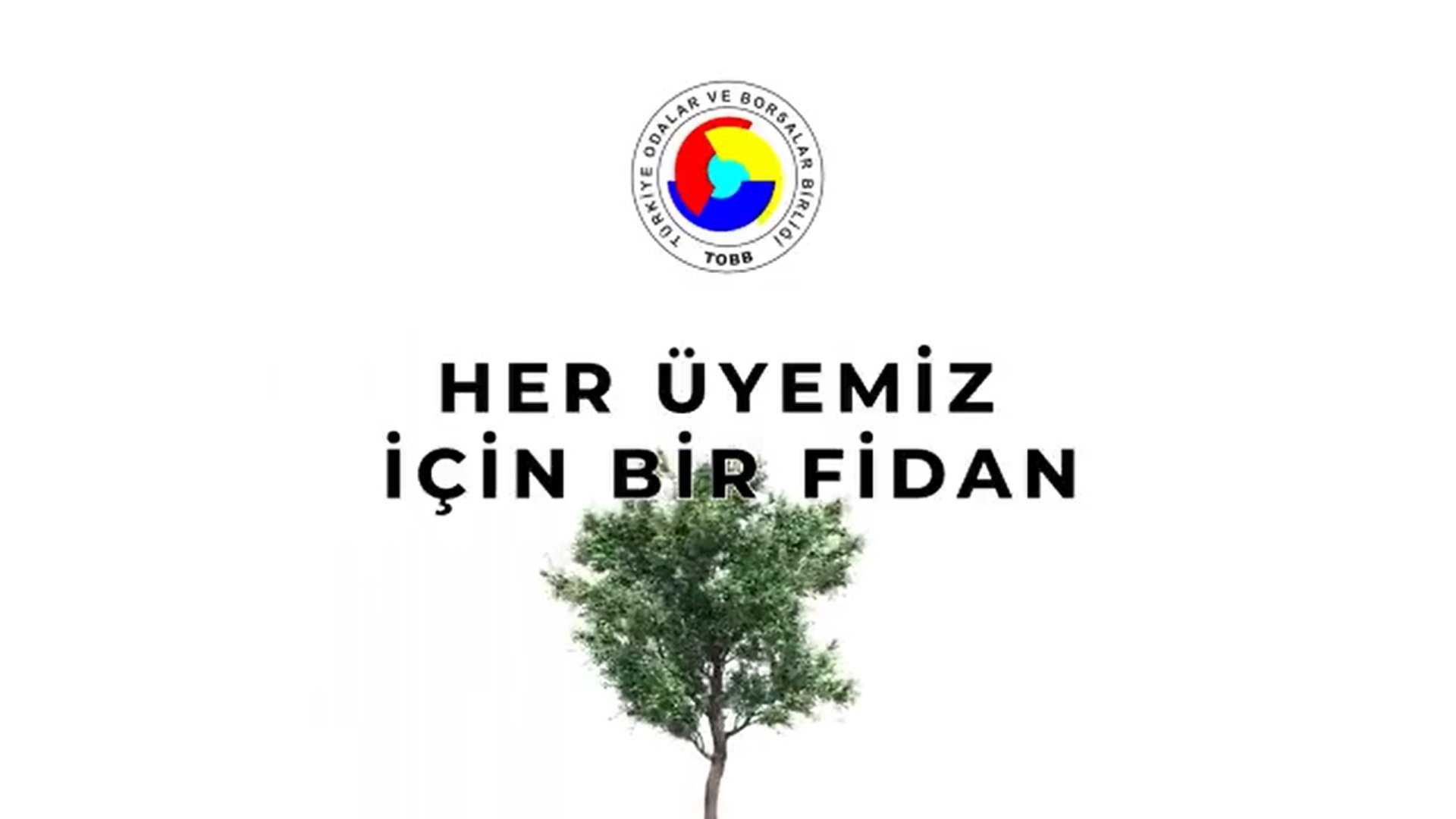 HER ÜYEMİZ İÇİN BİR FİDAN